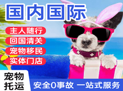 丽江三义航空邮寄国际宠物托运 【国
